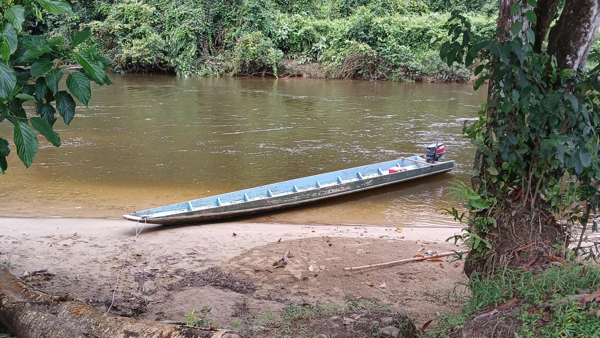 Mulu Tribal Homestay ภายนอก รูปภาพ